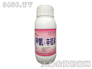 高效防治害虫 甲氰辛硫磷与铁扫帚的农药使用指南