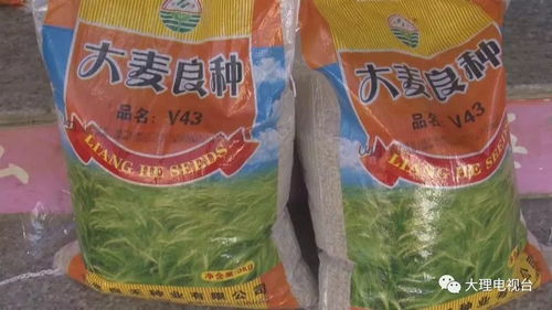 对高毒高残留农药说“不” 洱源开启农资绿色经营模式助力洱海保护