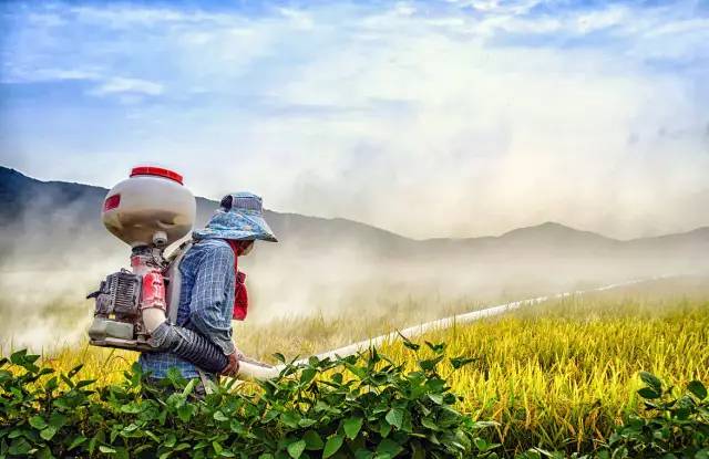 未依法取得农药登记证的农药，按照假农药处理！今后切勿疏忽大意——财经网解读