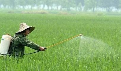 如今重庆人如何更聪明地种粮？这篇文章说明白了农药的那些事