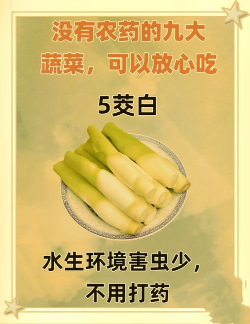 泥里长大的莲藕,虫子都进不去,天然无农药,吃着超安心!